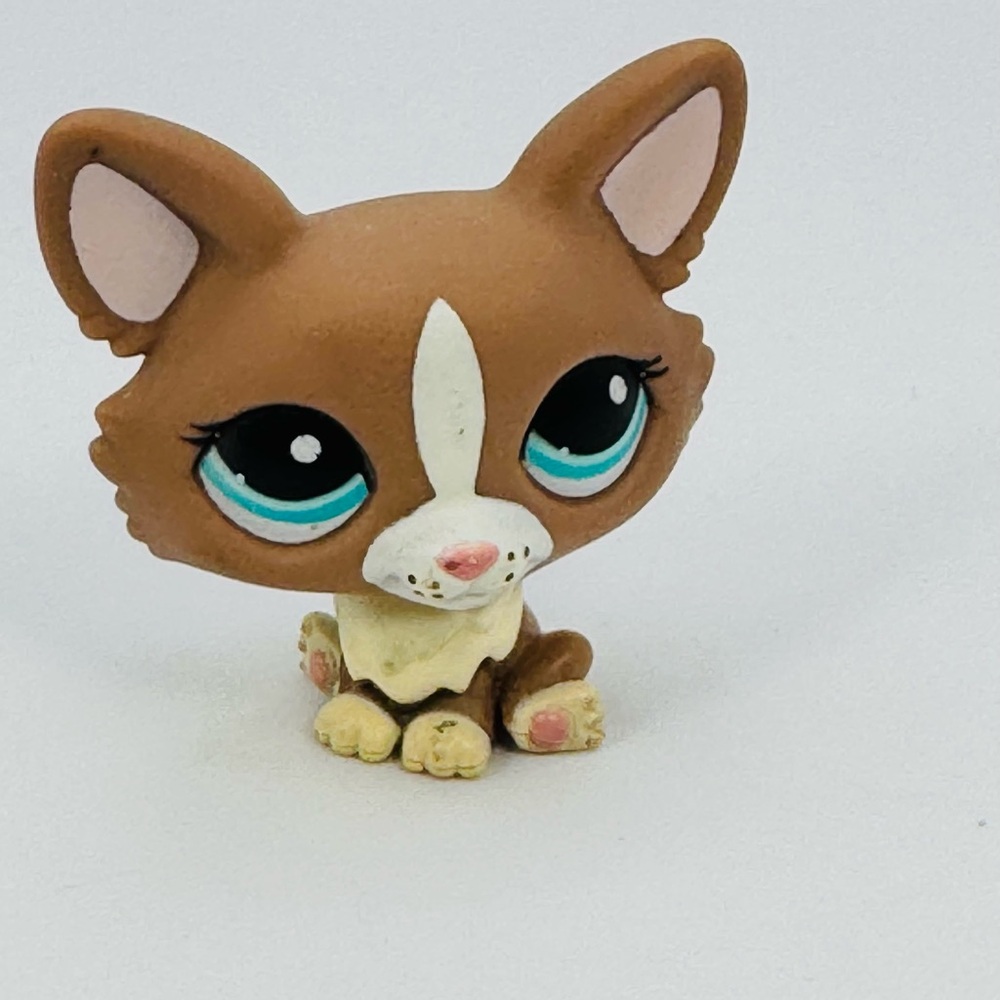 Littlest Pet Shop Corgi Dog. Brown & Cream with Turquoise Eyes. LPS Corgi.